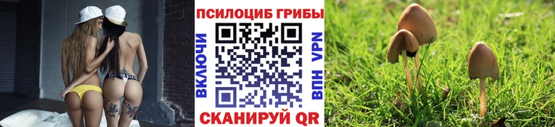 Галлюциногенные грибы мицелий Абаза
